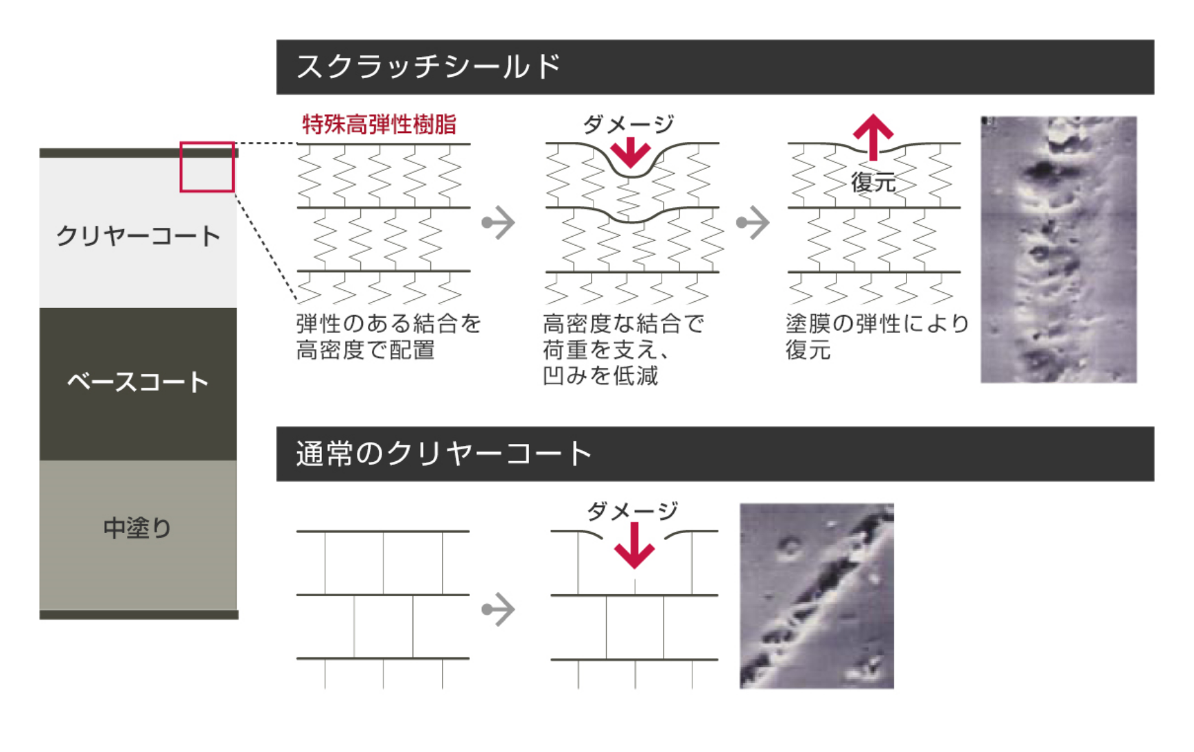 スクラッチシールドとは