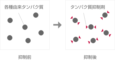 (左)各種由来タンパク質抑制前 (右)各種由来タンパク質抑制後